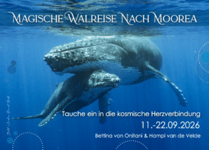 Walreise mit Bettina & Hampi