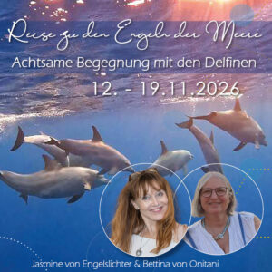 Delfinreise November 2026 für HP